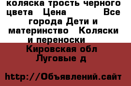 коляска трость черного цвета › Цена ­ 3 500 - Все города Дети и материнство » Коляски и переноски   . Кировская обл.,Луговые д.